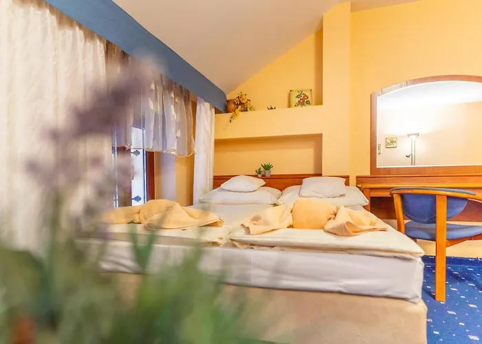 Fantazja شقة شكلارسكا بوريبا